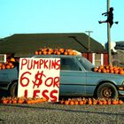 Smashin' Pumpkins...