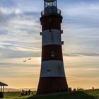 Smeaton's Tower