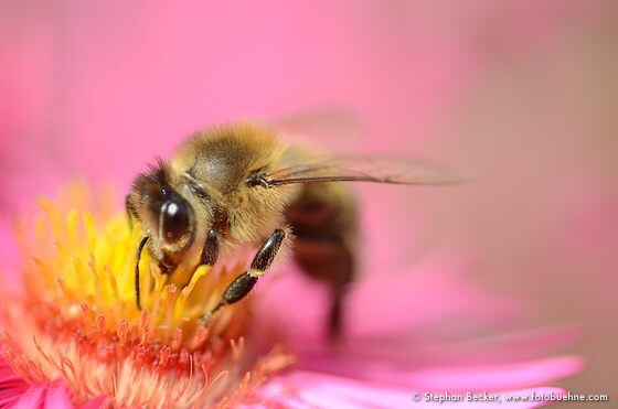 Smell the flowers while you can