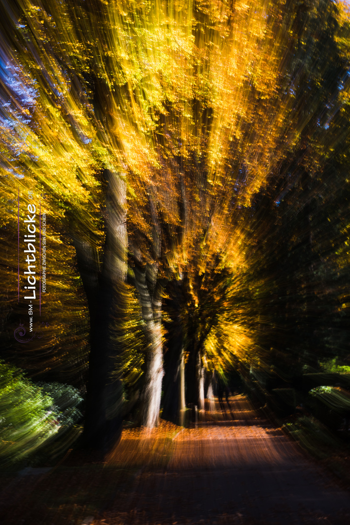 SM_ICM_Herbstleuchten-106