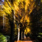 SM_ICM_Herbstleuchten-106