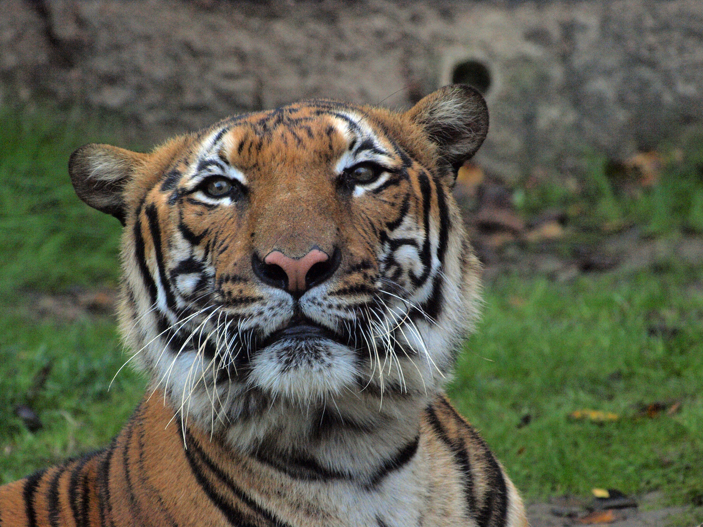 Smile, it's lunch time.