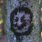Smiley auf Baum