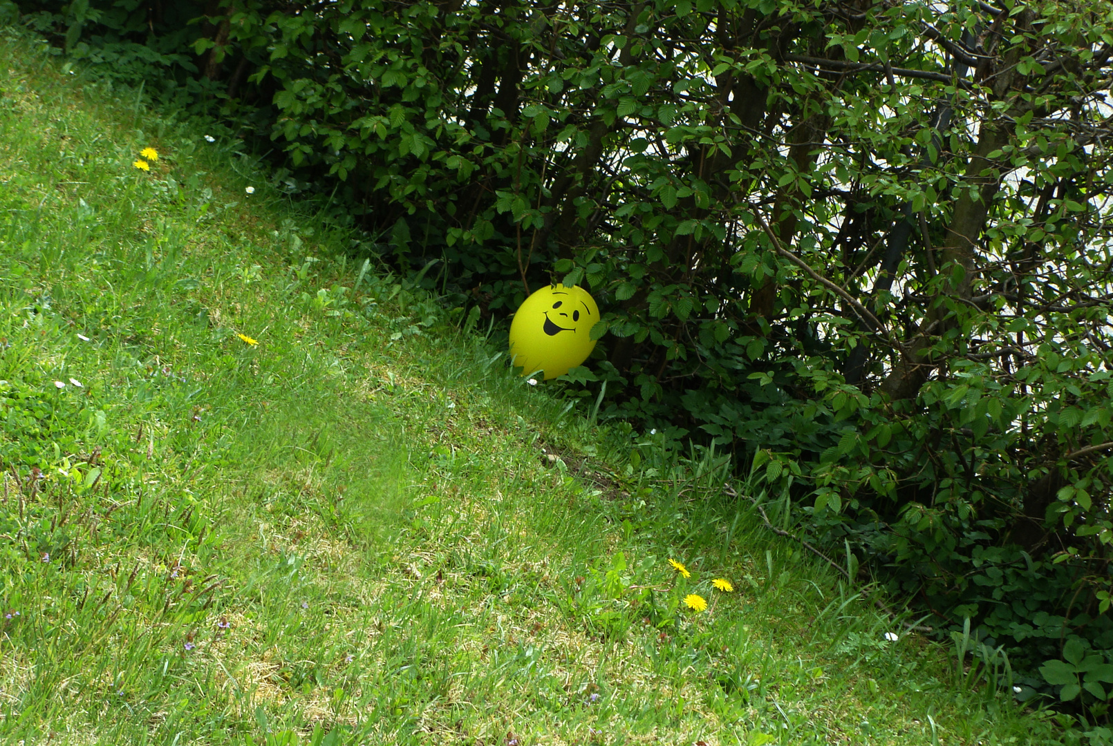 Smiley gelandet