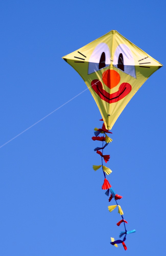 smiling kite :-)