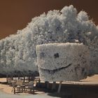 Smiling Tree, El Kharga Sol y Mar Resort