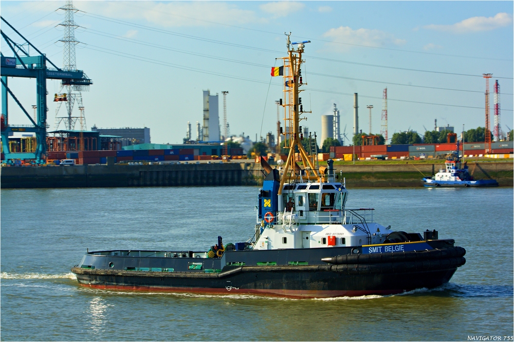 SMIT BELGIE / Tug / Antwerpen