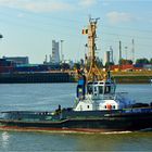 SMIT BELGIE / Tug / Antwerpen