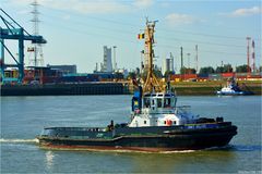 SMIT BELGIE / Tug / Antwerpen