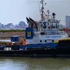 SMIT CHEETAH / Tug / Scheurhaven / Calandkanal / Rotterdam