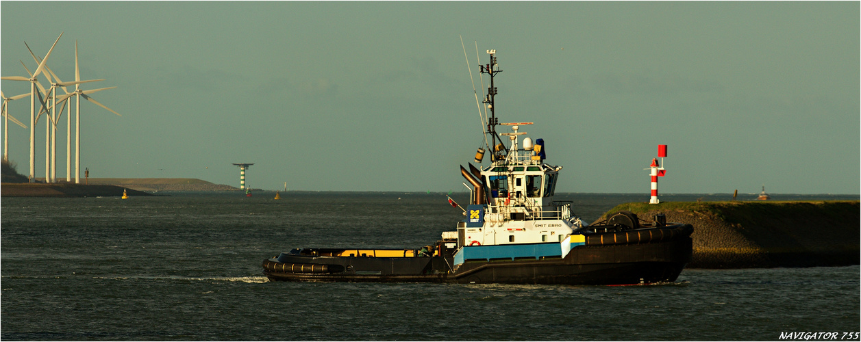 SMIT EBRO / Tug / Rotterdam