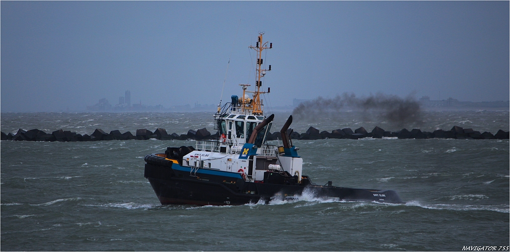 SMIT ELBE / Tug / Rotterdam