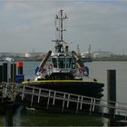 SMIT PANTHER / Tug / CalandkanaL / Rotterdam