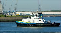 SMIT THAMESBANK / Schlepper / Europoort / Rotterdam