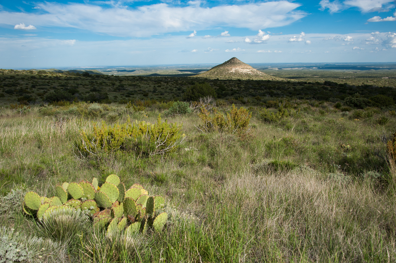 Smith Spring Trail