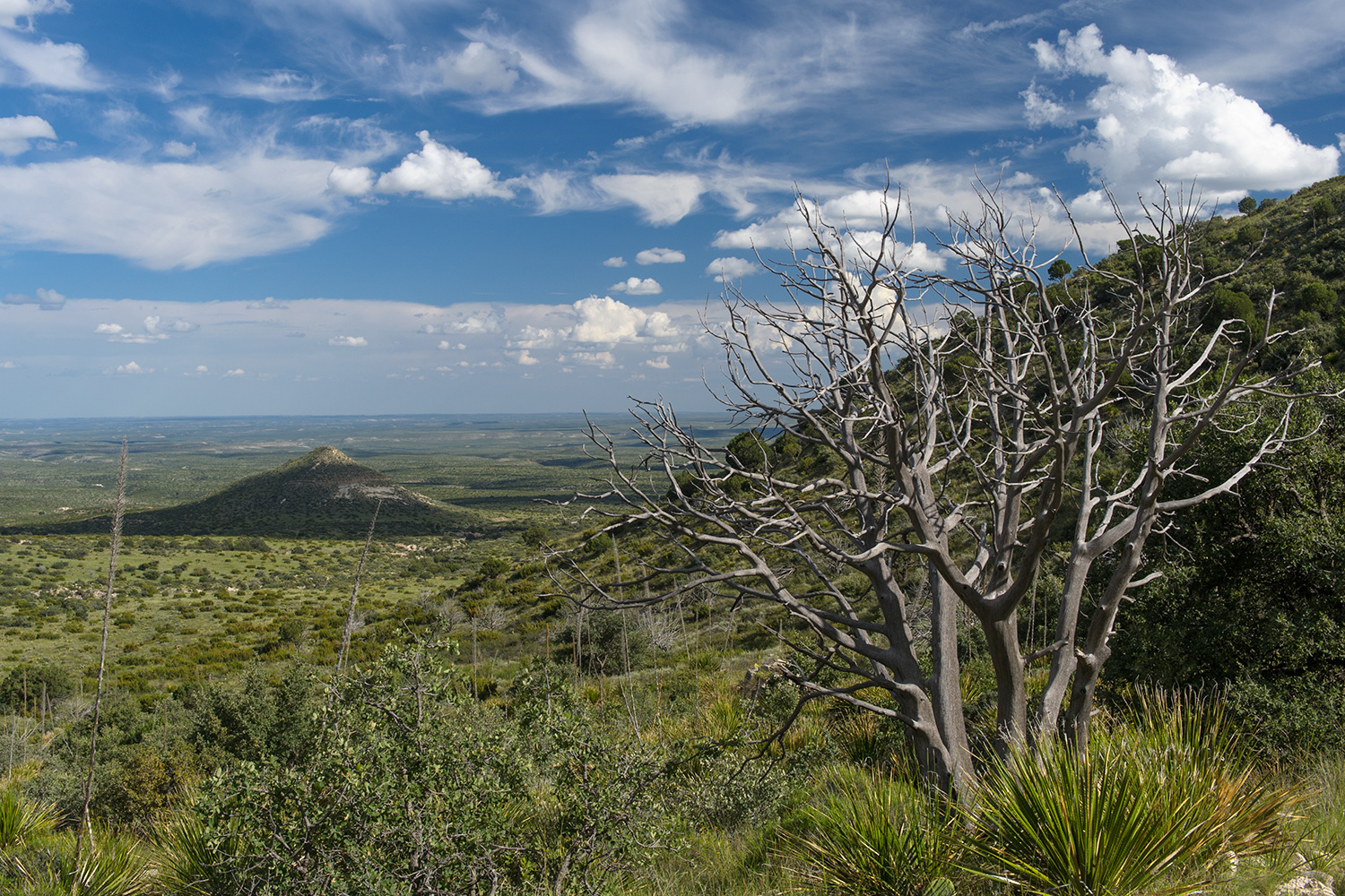 Smith Spring Trail