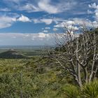 Smith Spring Trail