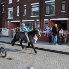 Smithfield Horse Market, Dublin 3