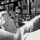 Smithfield Horse Market, Dublin