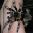 Smithi beim shooting!