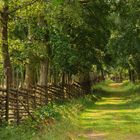 Småland im Sommer