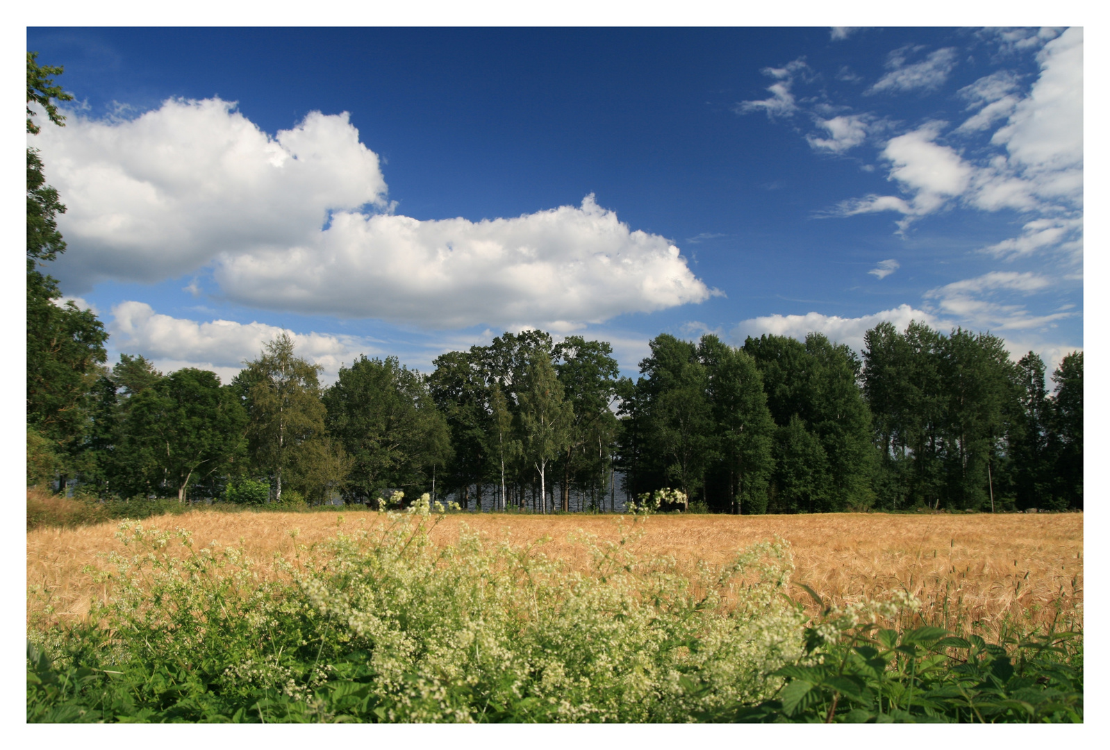 Småland in Blau und Gelb