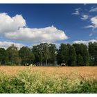 Småland in Blau und Gelb