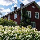 Smålands Höfe (4)