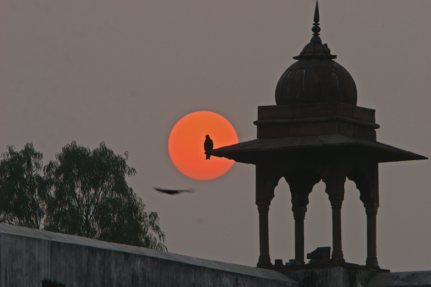 smog a Dehli