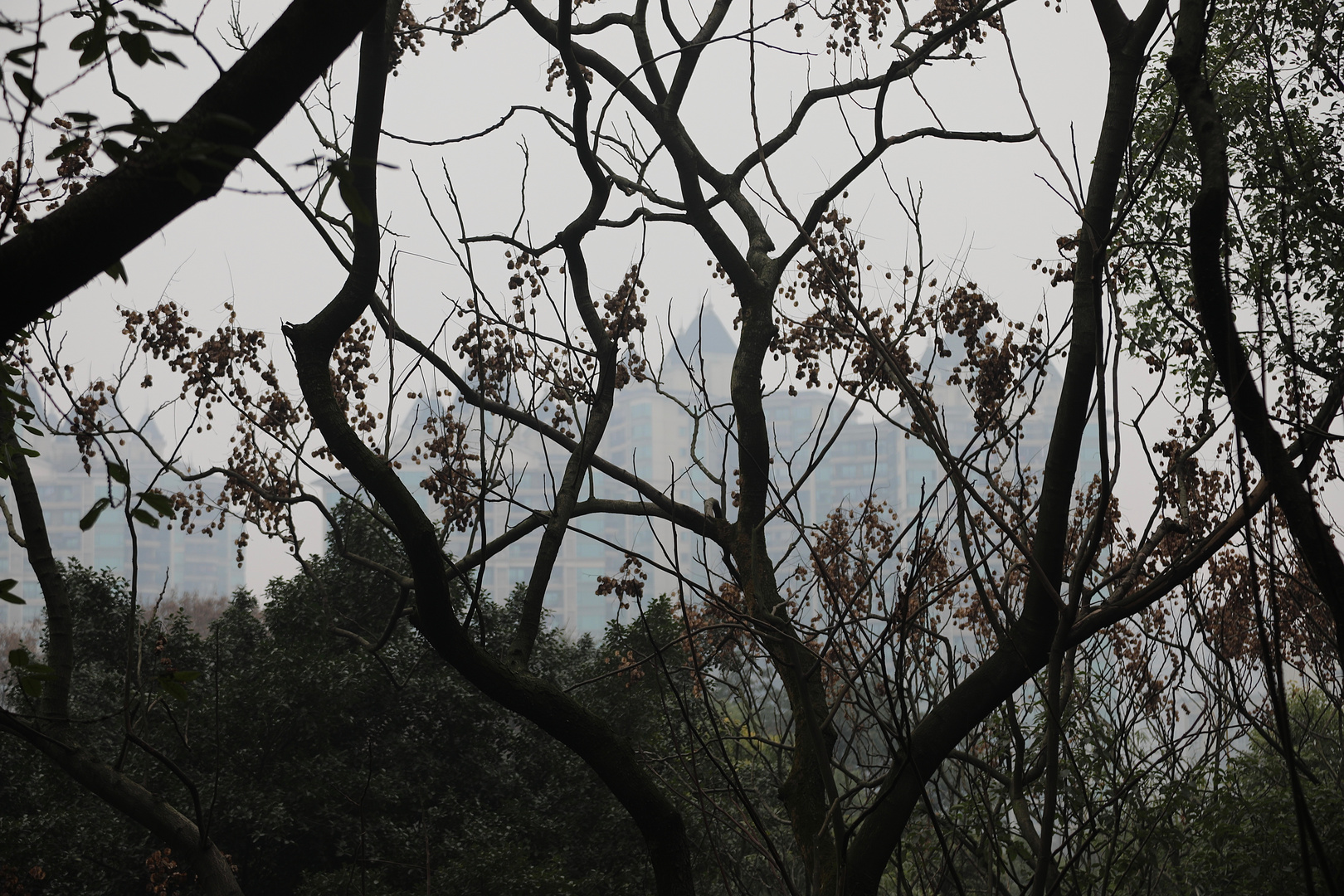 Smog in Chongqing