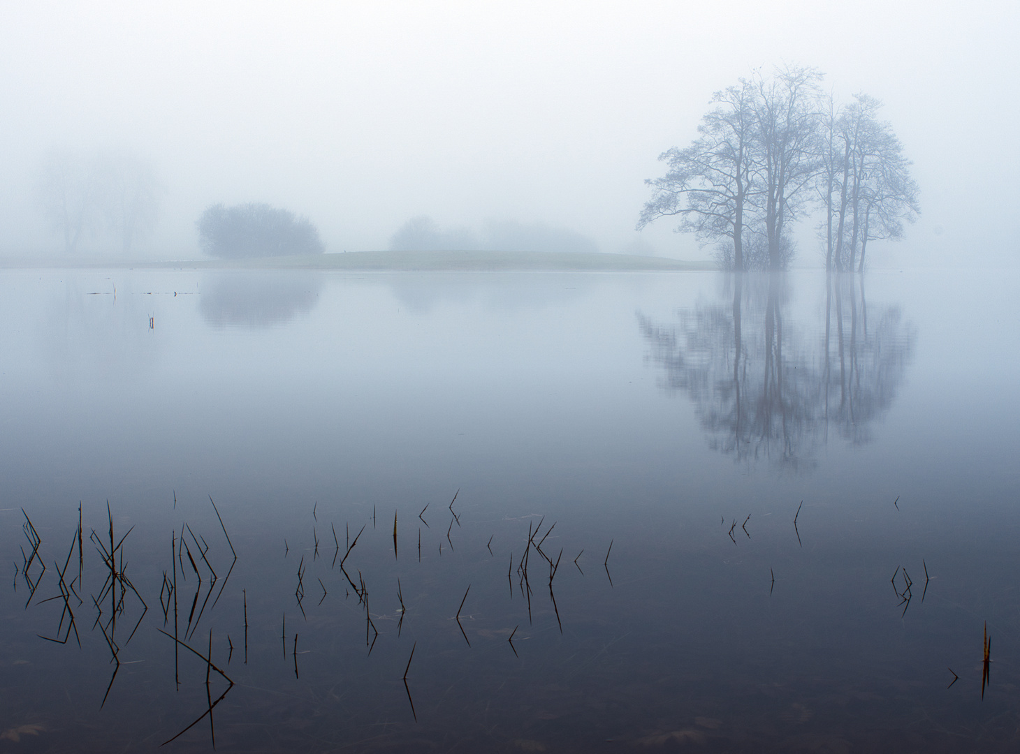 Smog on the water