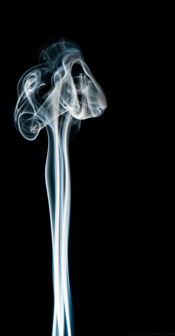 Smoke #5