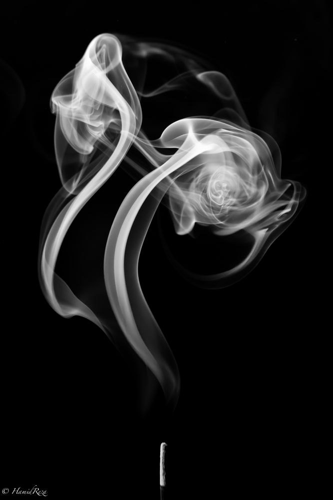 Smoke Flower photo & image the arts, b&w, subjects images at photo