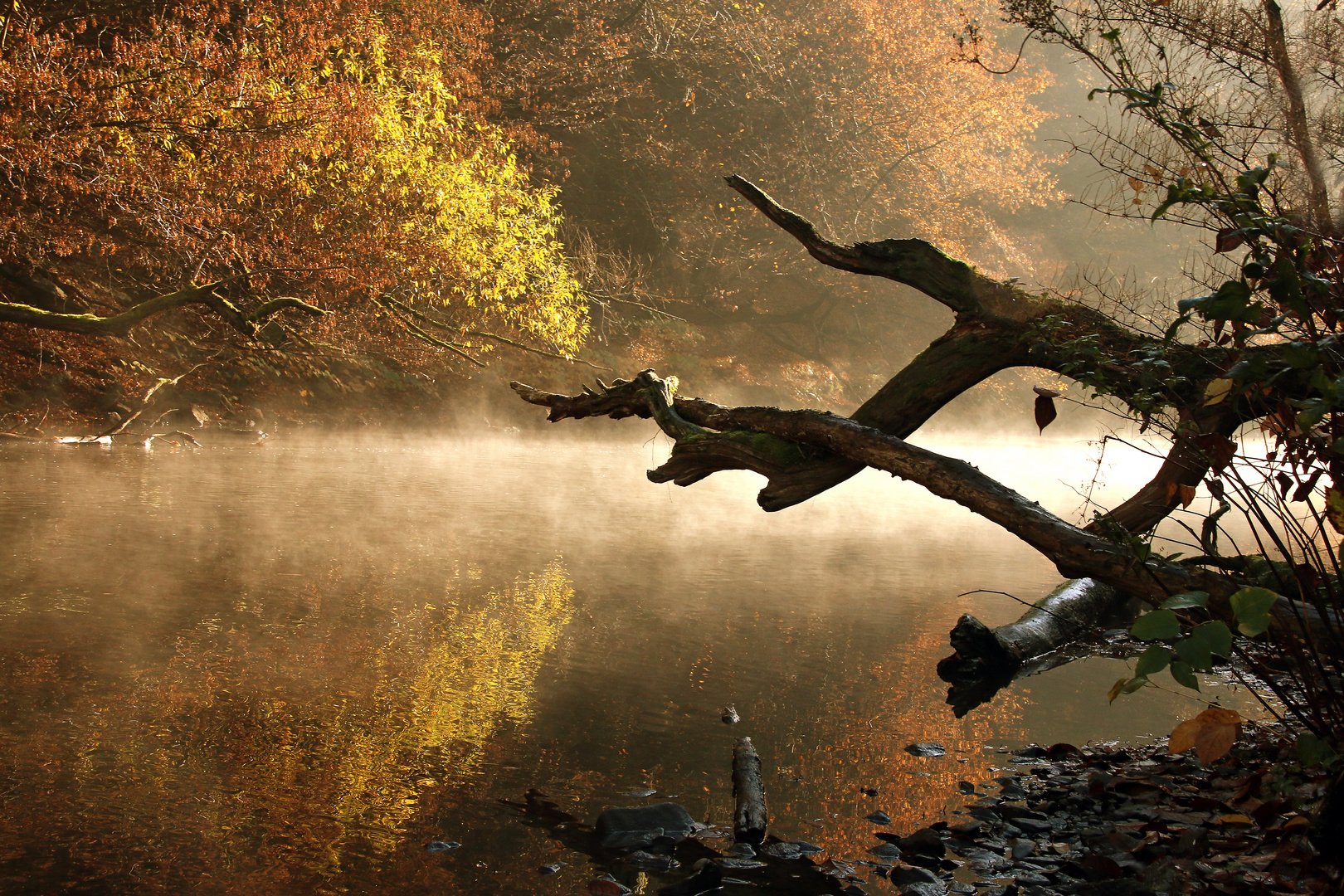 smoke on the water