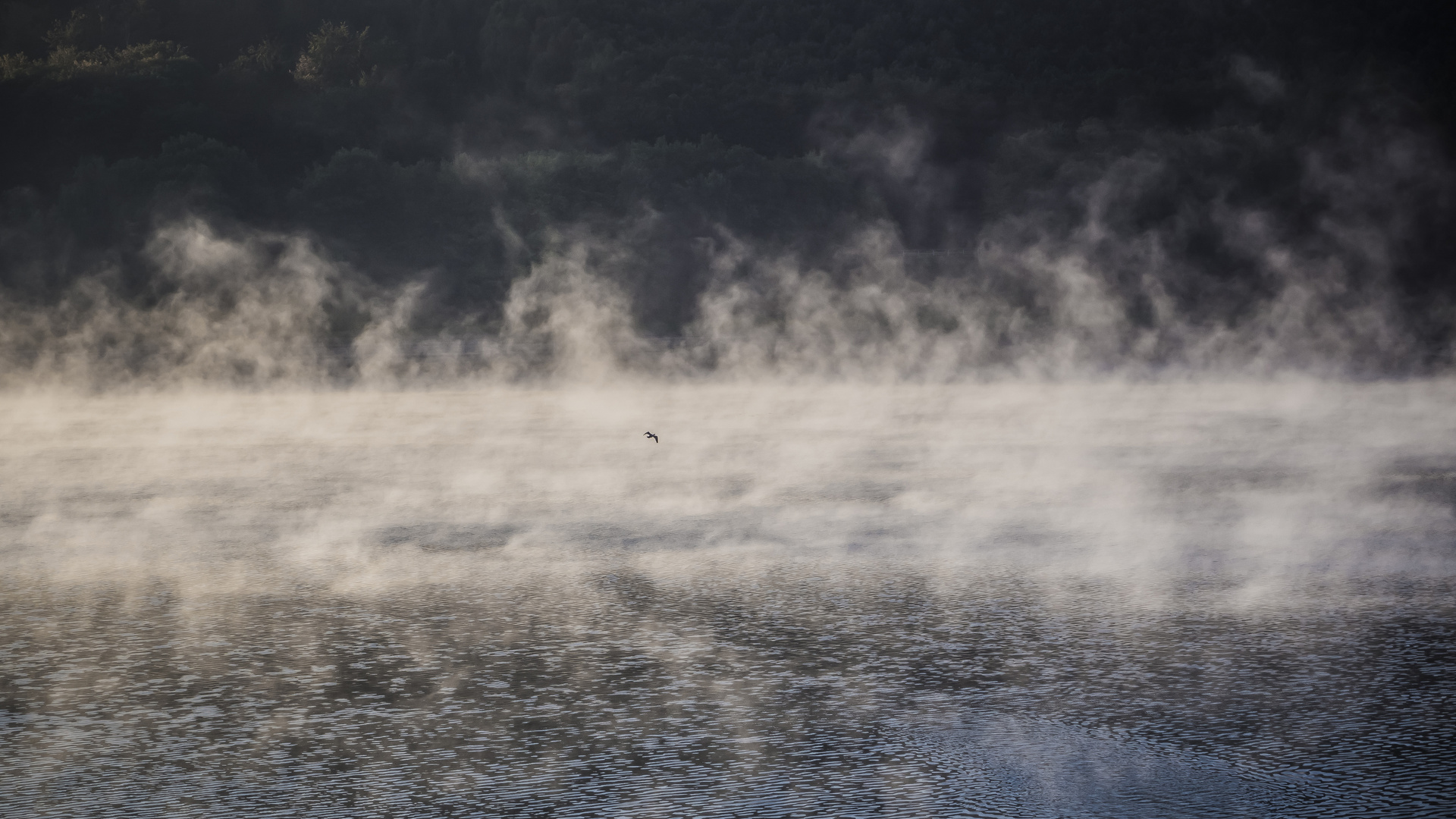 Smoke on the Water Foto & Bild landschaften, water, wasser Bilder auf