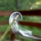 smoke stick 2