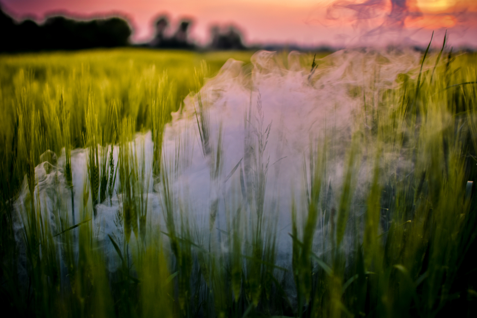 Smokebombs in the sunset