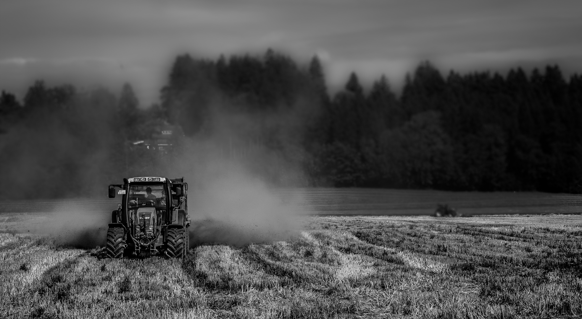 Smokey Field