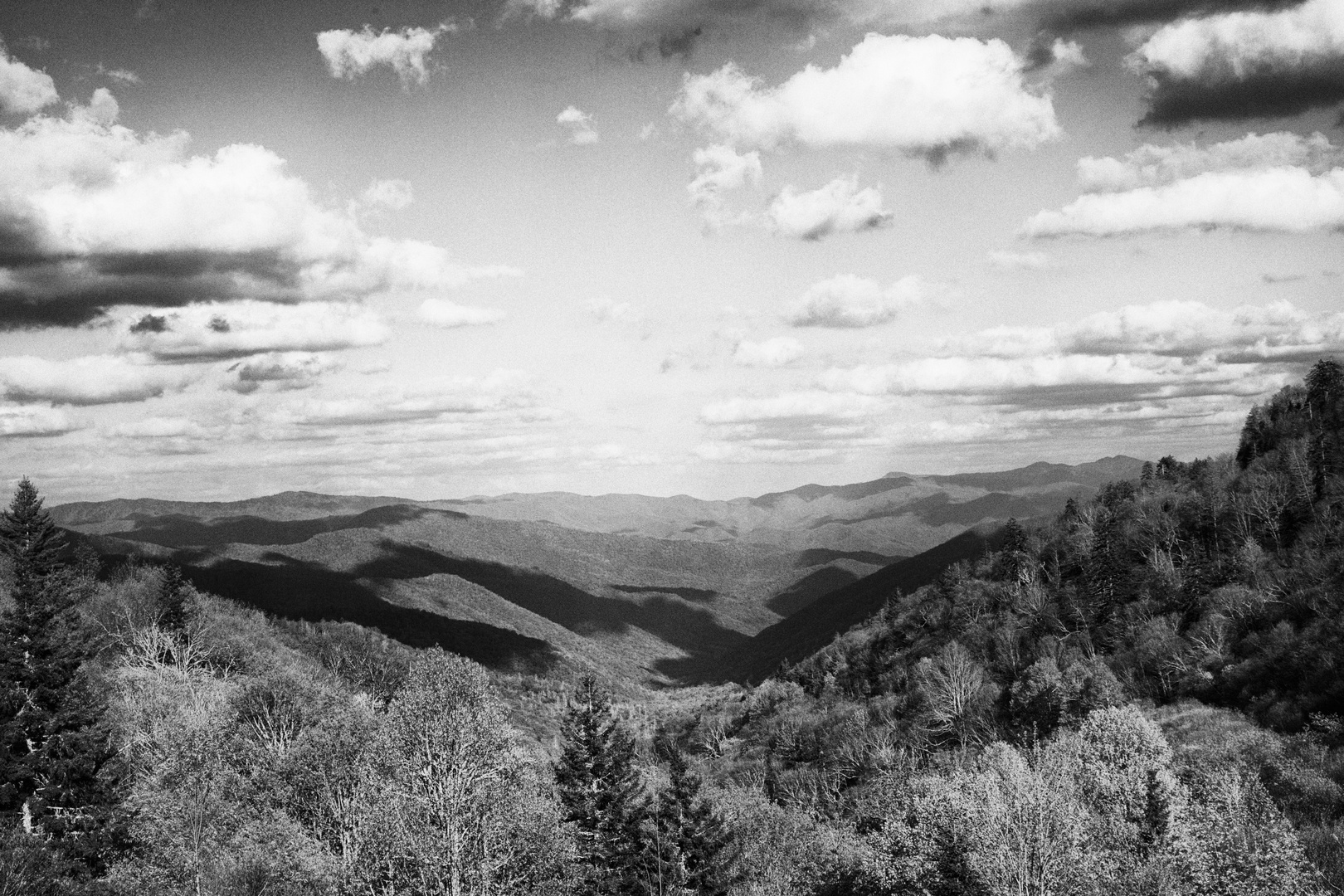 Smokey Mts.