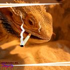 Smoking dragon^^