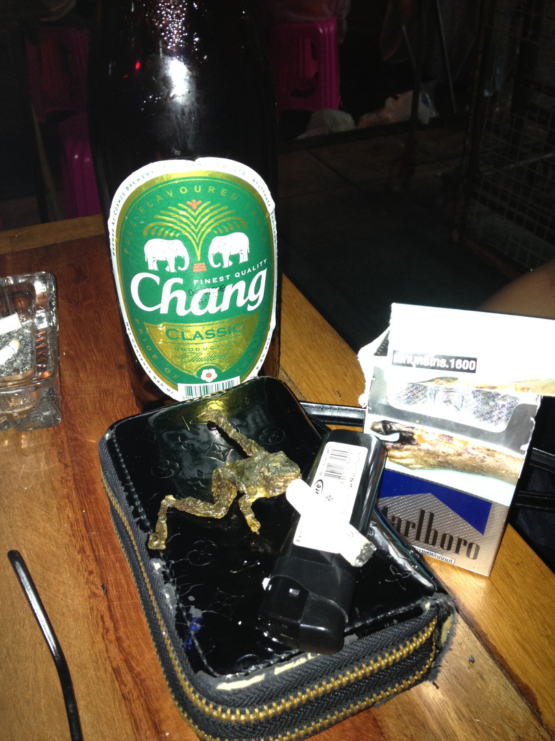 smoking frog in Bangkok