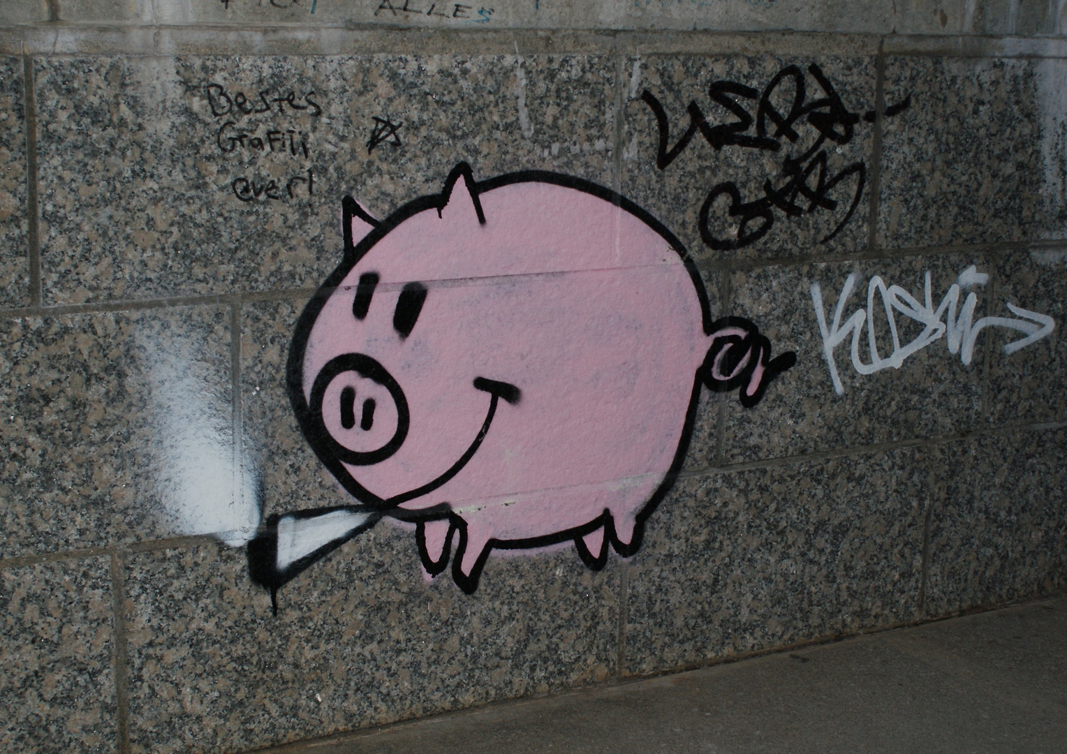 Smoking Pig