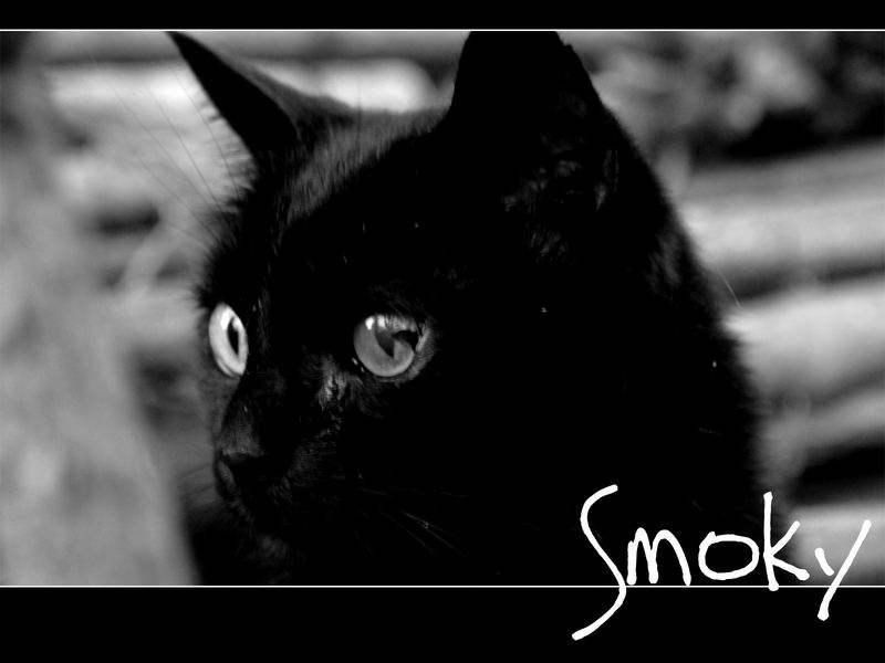 Smoky B/W