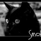 Smoky B/W