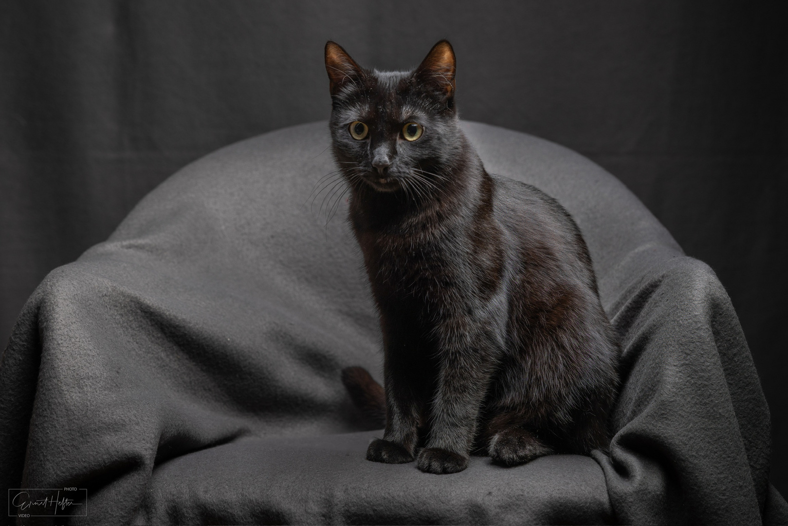 Smoky, die Schwester von Whisky