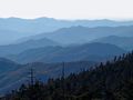 Great Smoky Mountain National Park TN