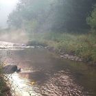 smoky stream