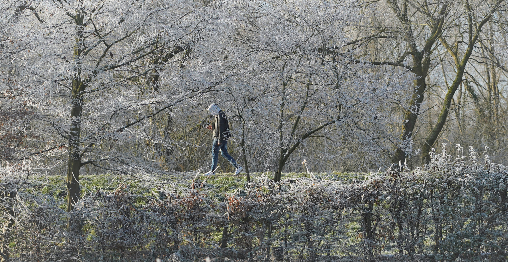 Smombie geniesst die Natur