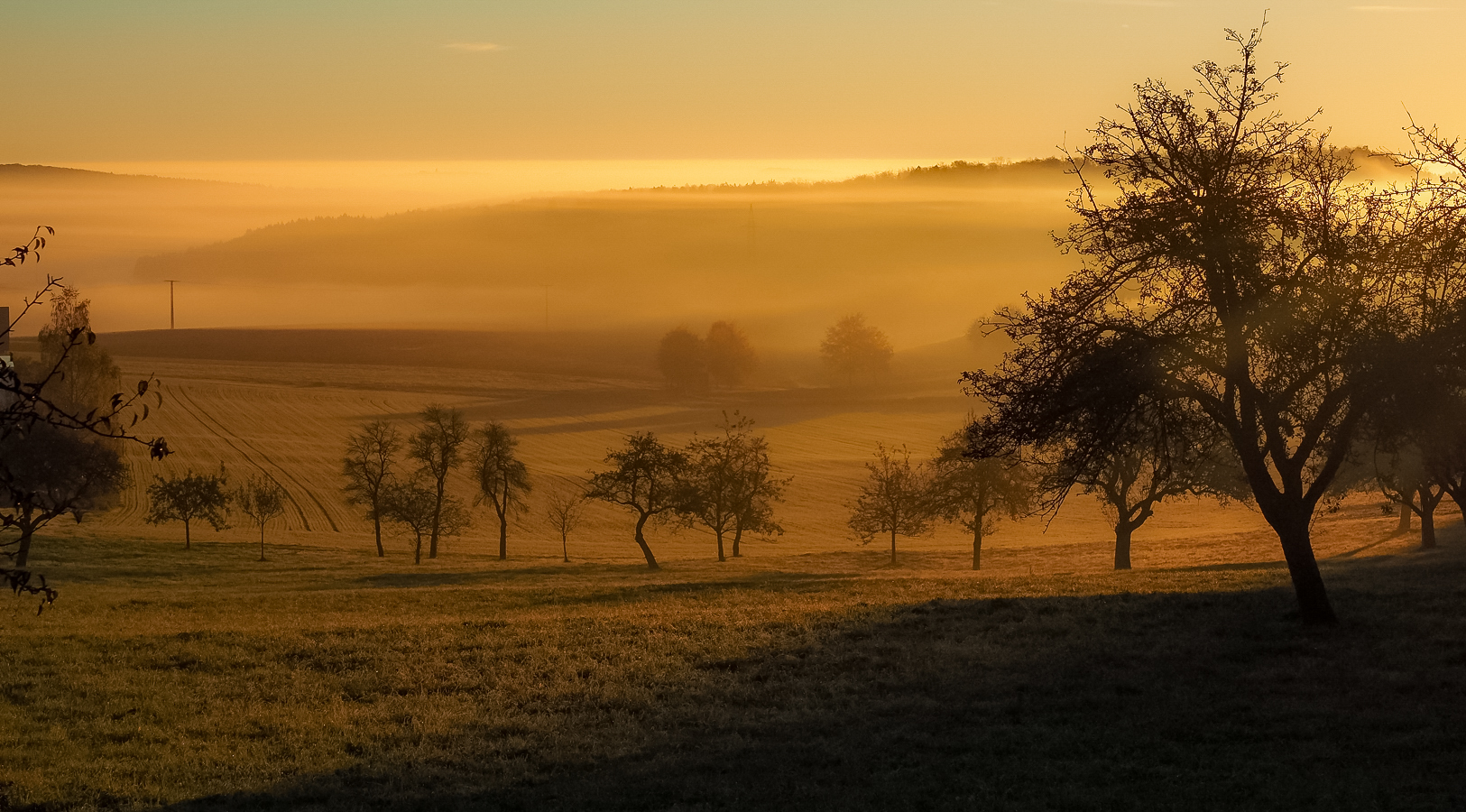 Smooth Fog