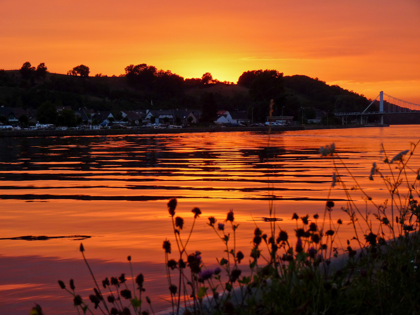 Smooth Sunset Waves